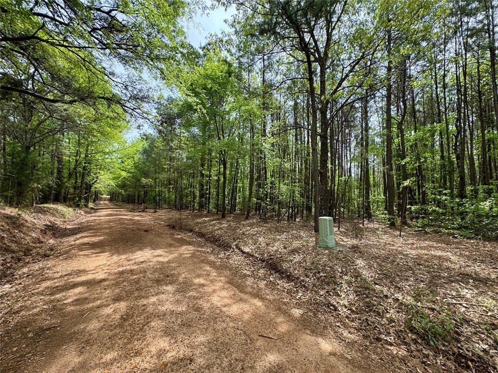 50.13 acres in Cass County - photo 10