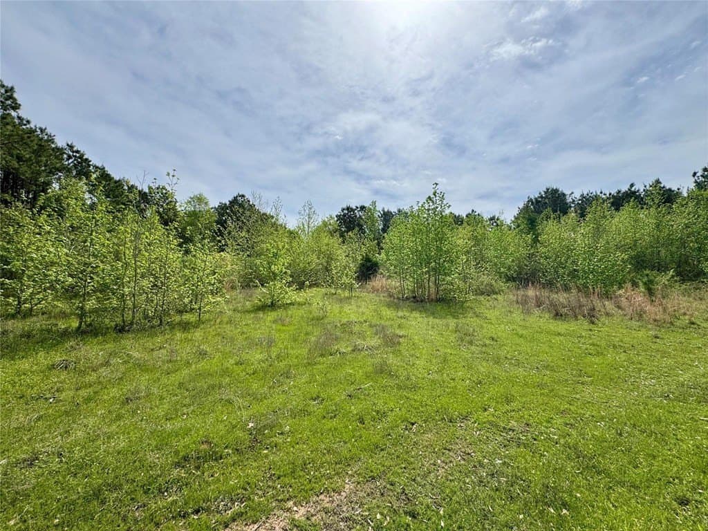 50.13 acres in Cass County - photo 2
