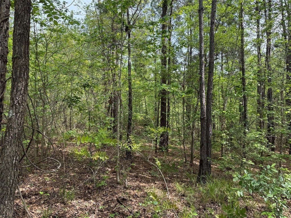 50.13 acres in Cass County - photo 26
