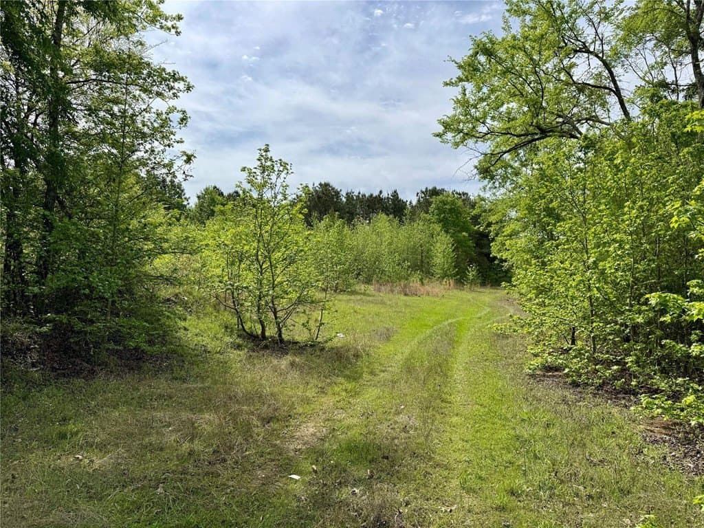 50.13 acres in Cass County - photo 3