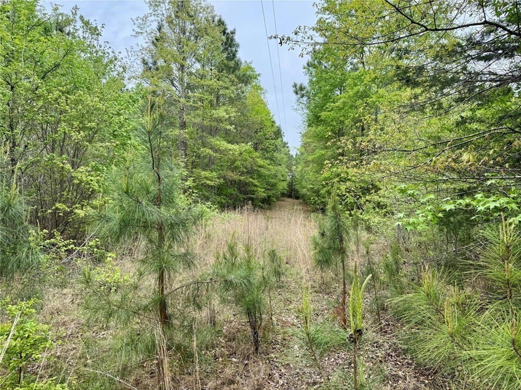 50.13 acres in Cass County - photo 29