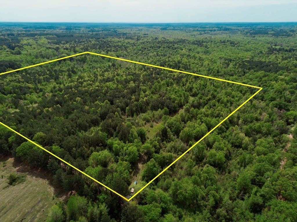 50.13 acres in Cass County - photo 4