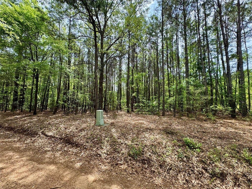 50.13 acres in Cass County - photo 14