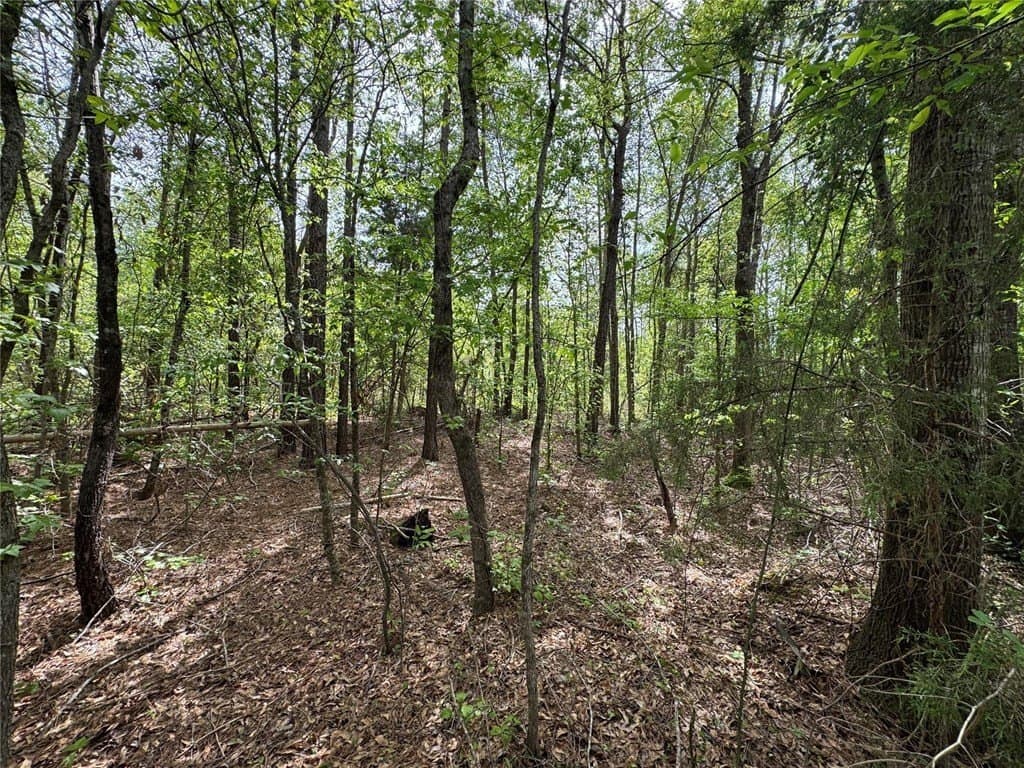 50.13 acres in Cass County - photo 24