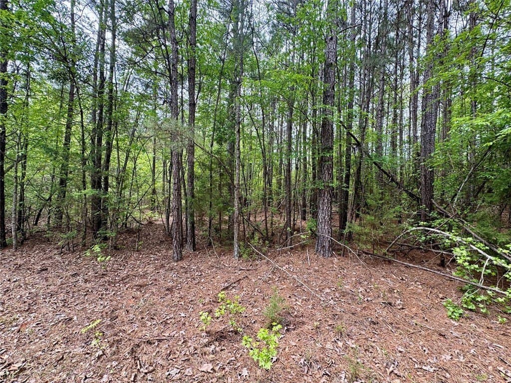 50.13 acres in Cass County - photo 18