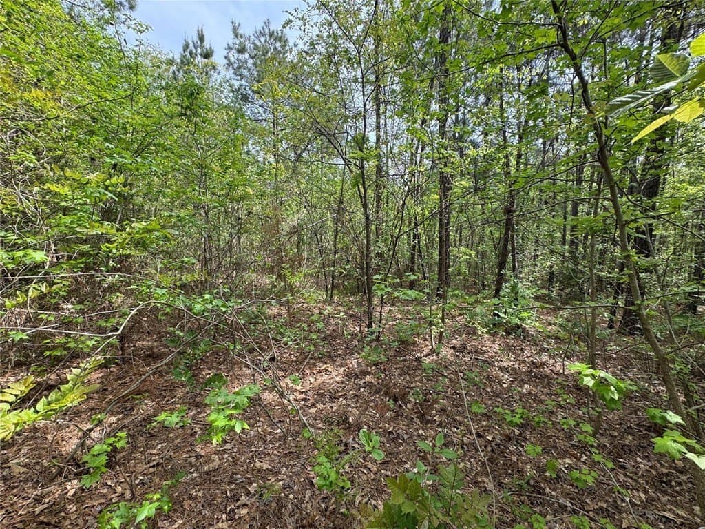 50.13 acres in Cass County - photo 15