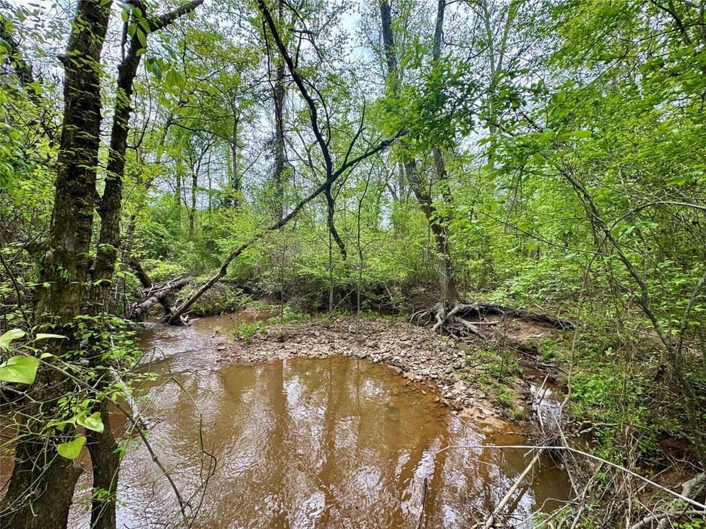 50.13 acres in Cass County - photo 5