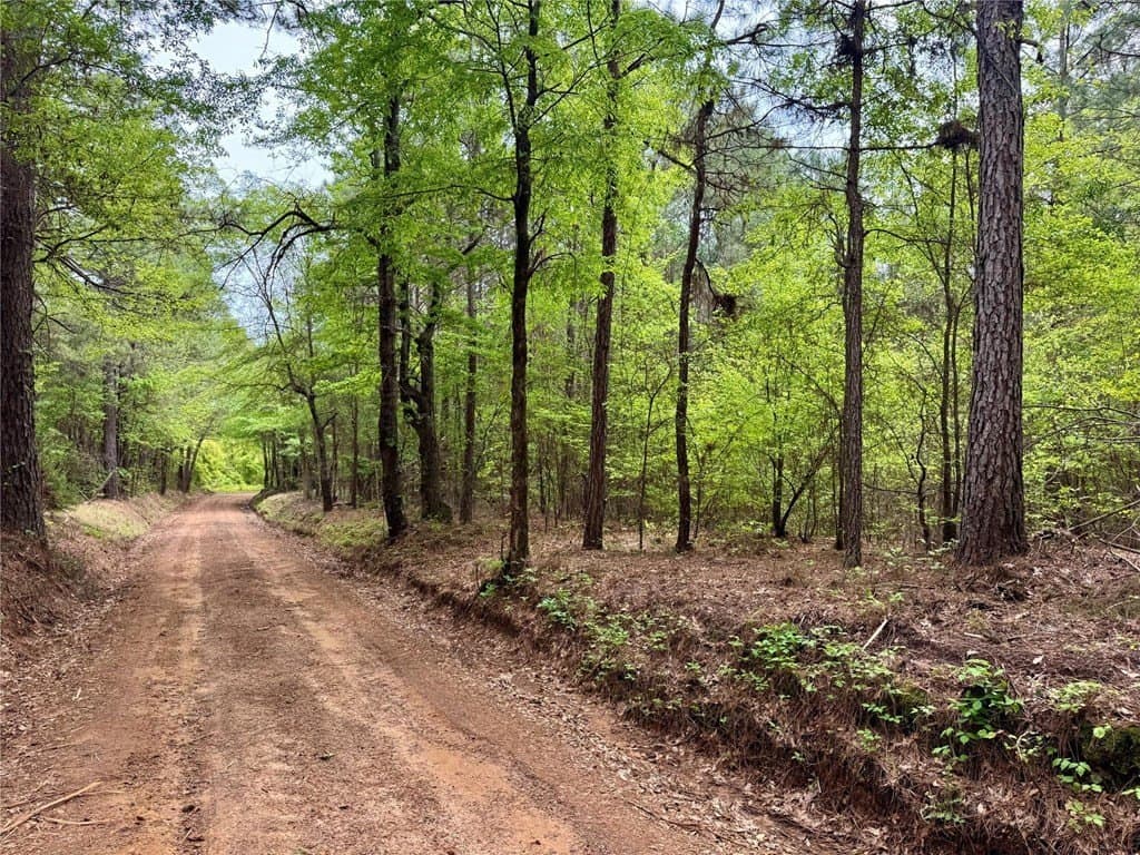50.13 acres in Cass County - photo 11