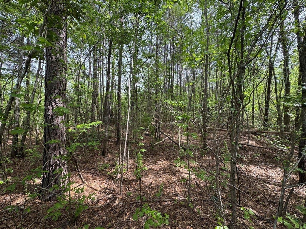 50.13 acres in Cass County - photo 25