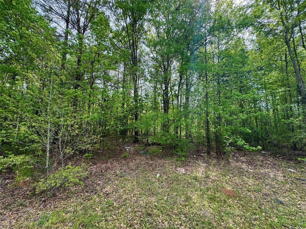 50.13 acres in Cass County - photo 8
