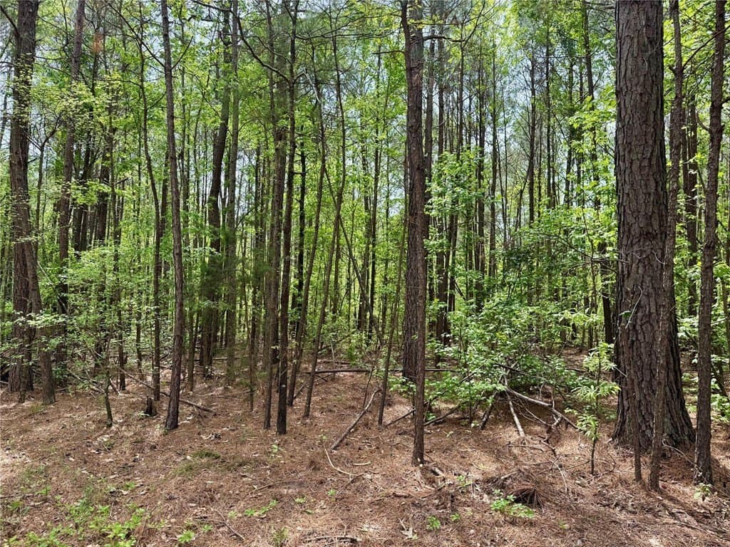 50.13 acres in Cass County - photo 13