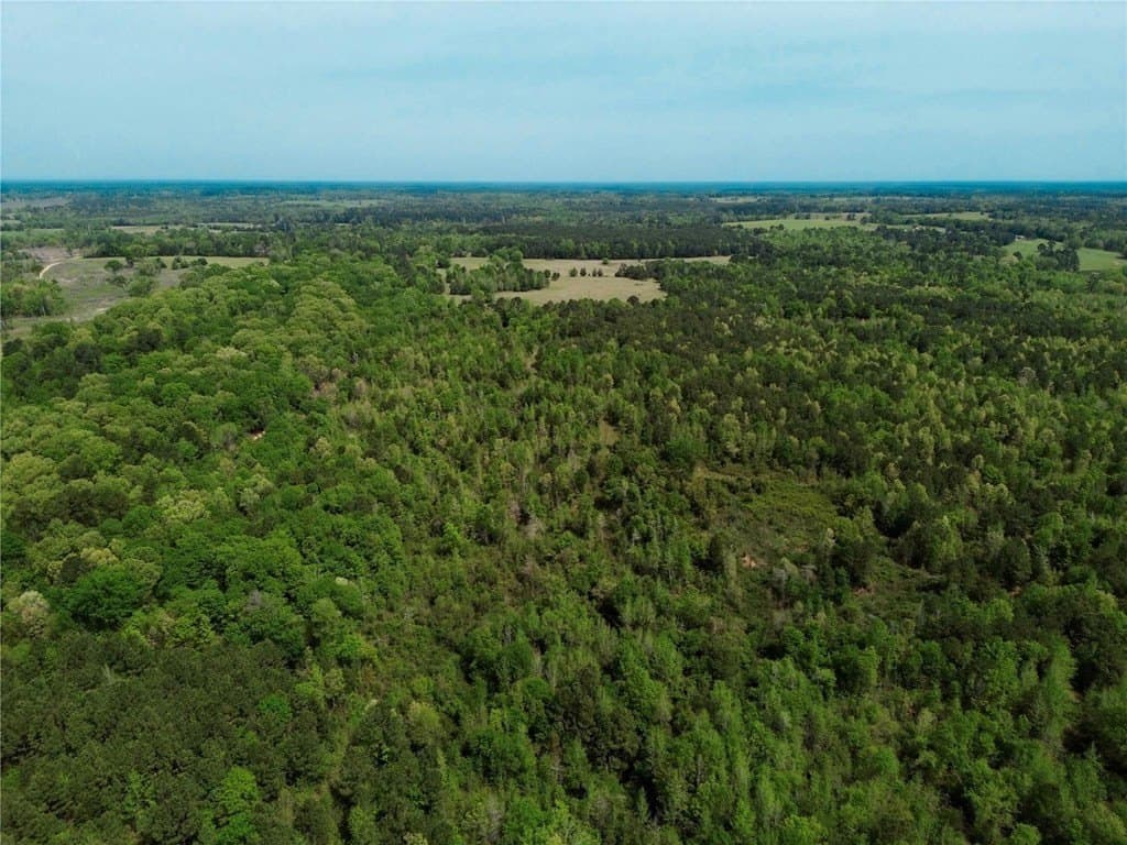 50.13 acres in Cass County - photo 33