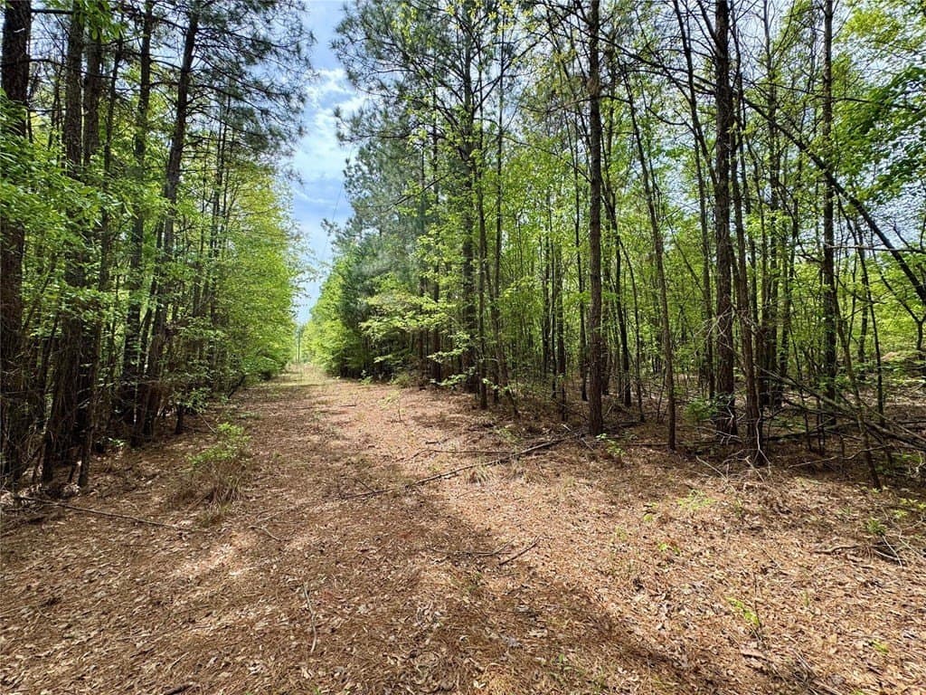 50.13 acres in Cass County - photo 30