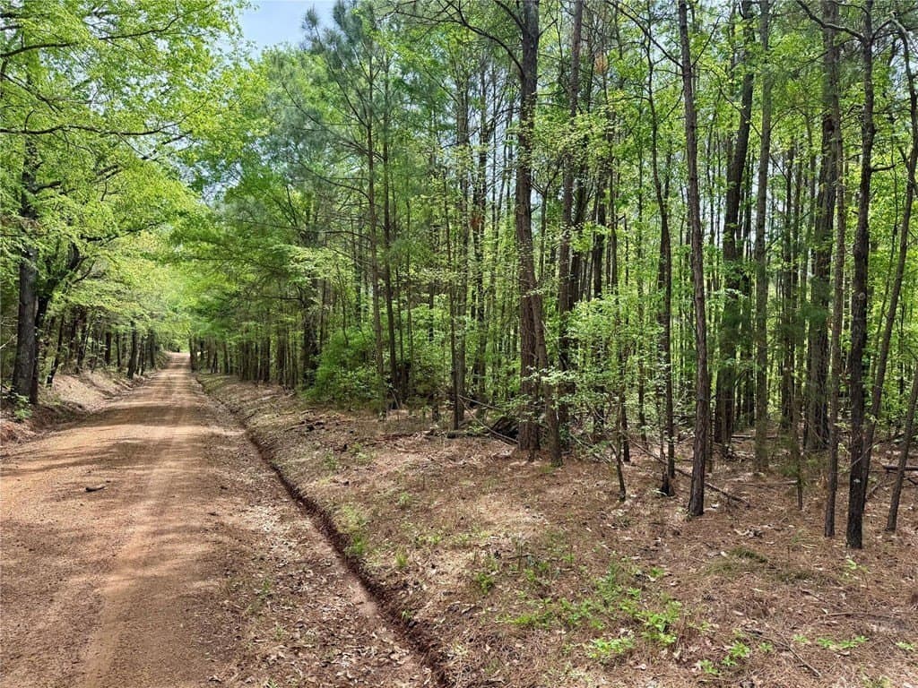50.13 acres in Cass County - photo 12