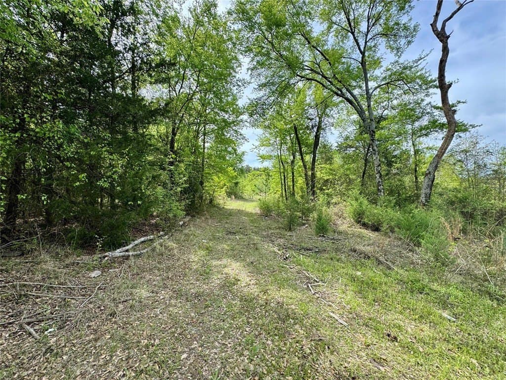 50.13 acres in Cass County - photo 20