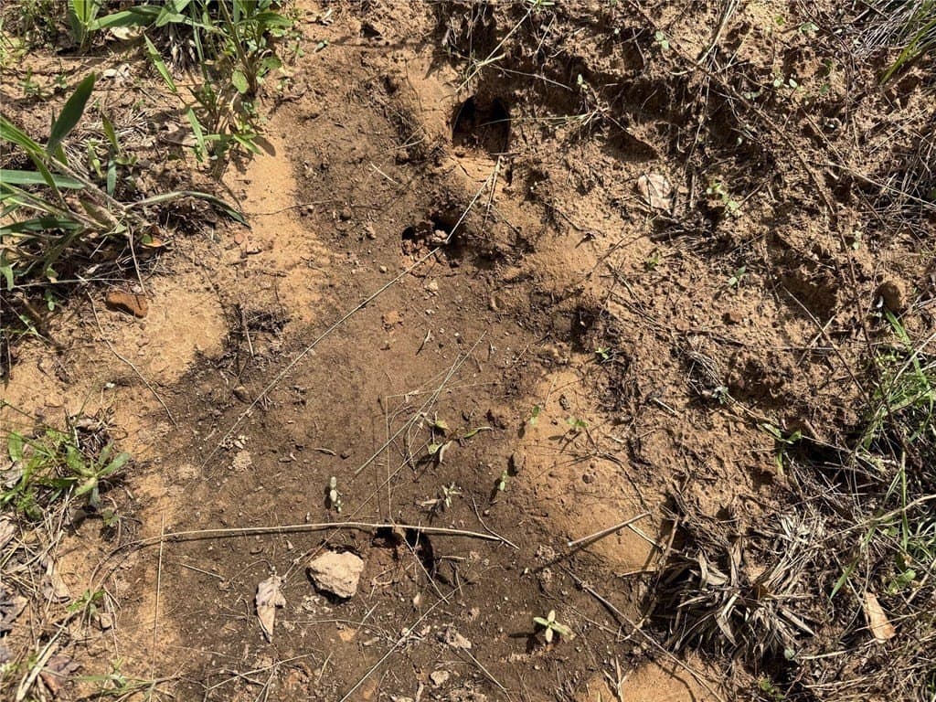50.13 acres in Cass County - photo 21