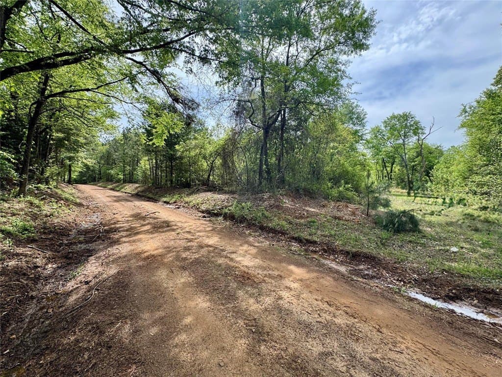 50.13 acres in Cass County - photo 9