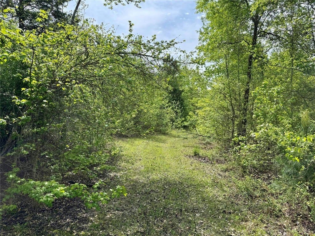 50.13 acres in Cass County - photo 7