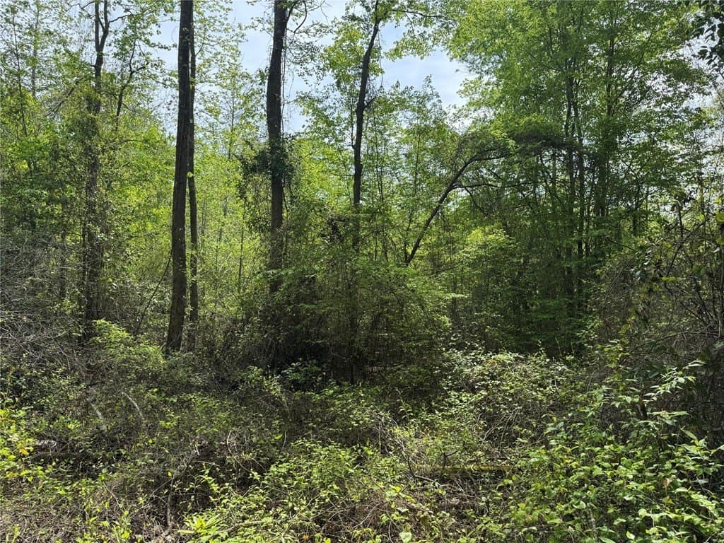 50.13 acres in Cass County - photo 28
