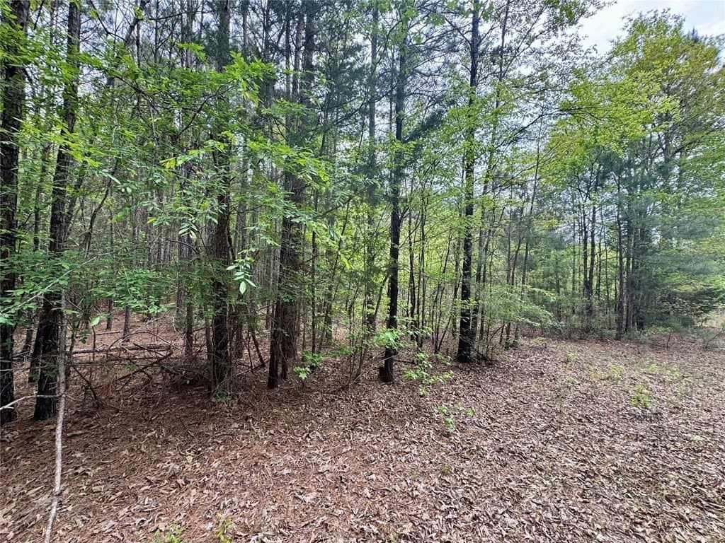 50.13 acres in Cass County - photo 19