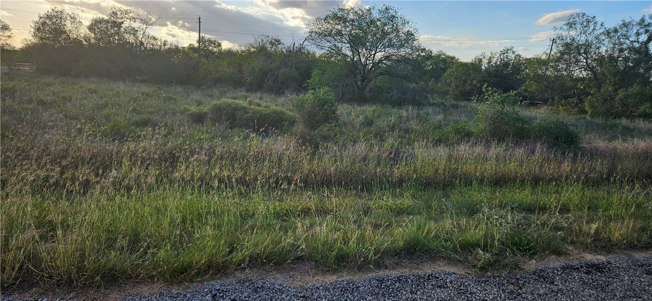 0.21 acres in Jim Wells County - photo 2