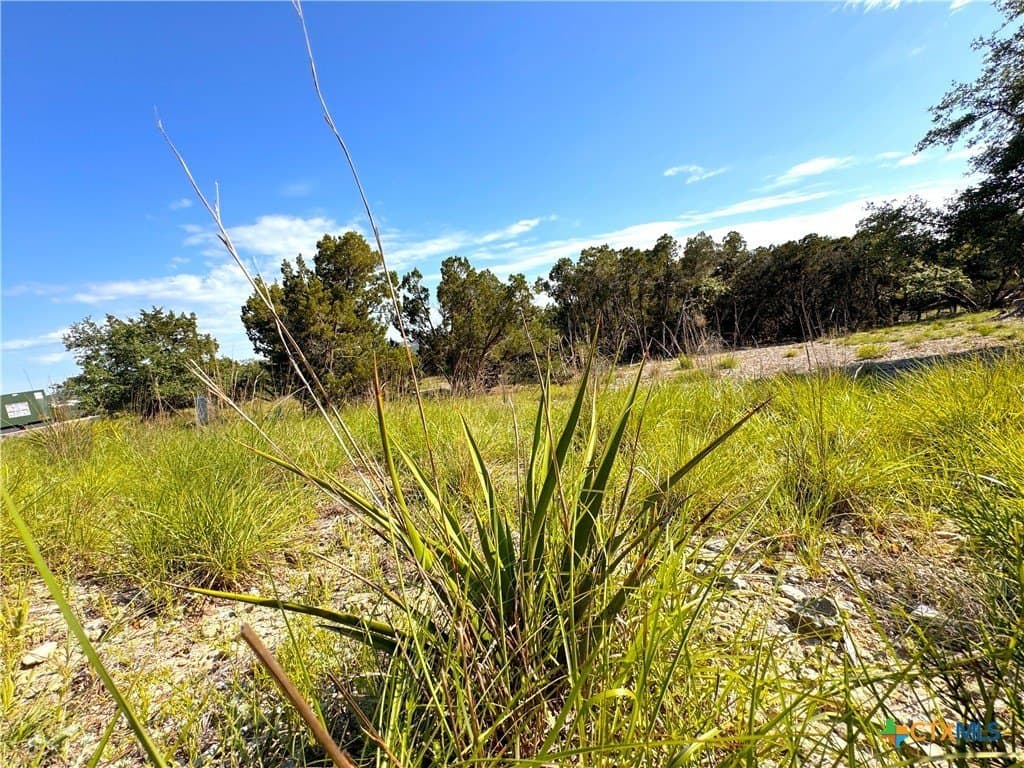 1.04 acres in Comal County - photo 2