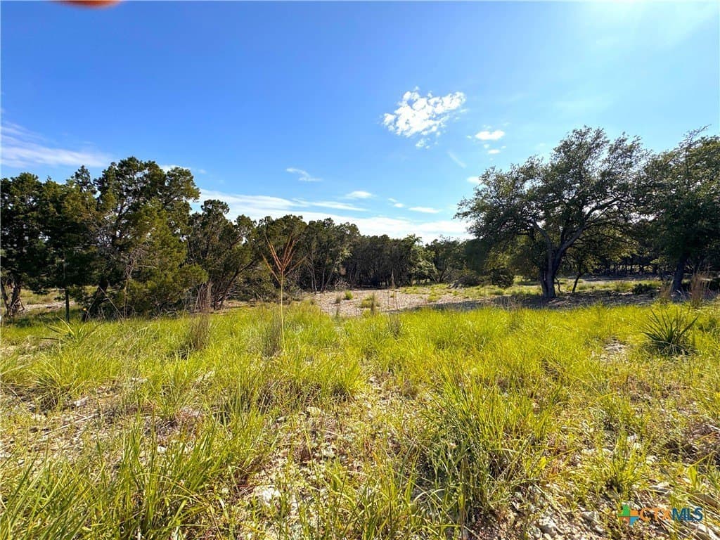 1.04 acres in Comal County - photo 14