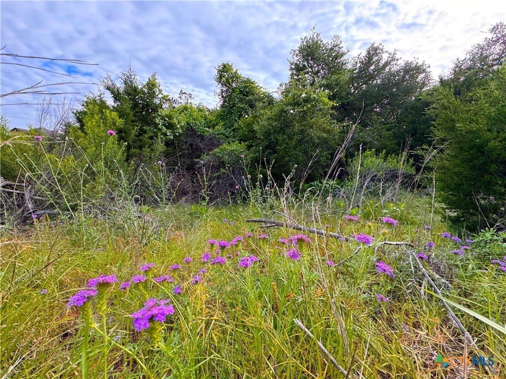 1.04 acres in Comal County - photo 4
