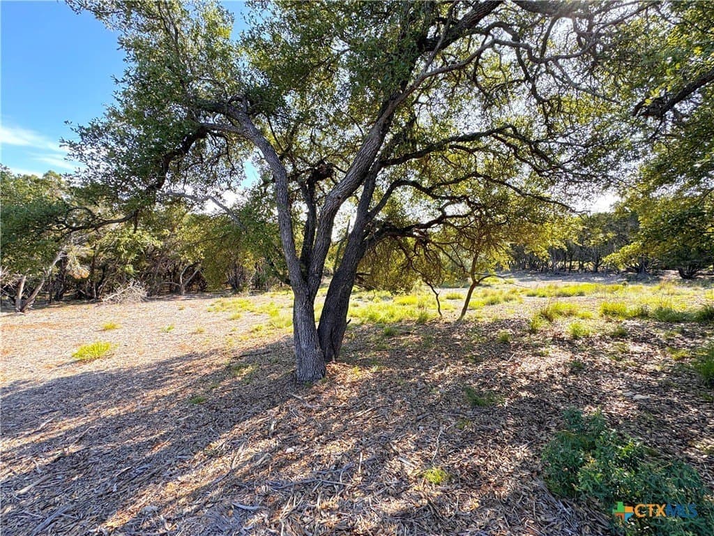 1.04 acres in Comal County - photo 5
