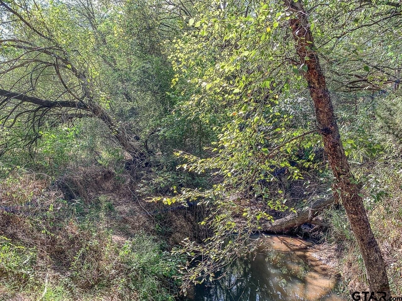 55 acres in Franklin County - photo 7
