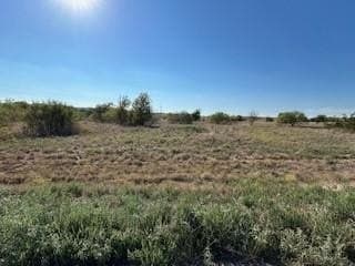 2.76 acres in Parker County - photo 7