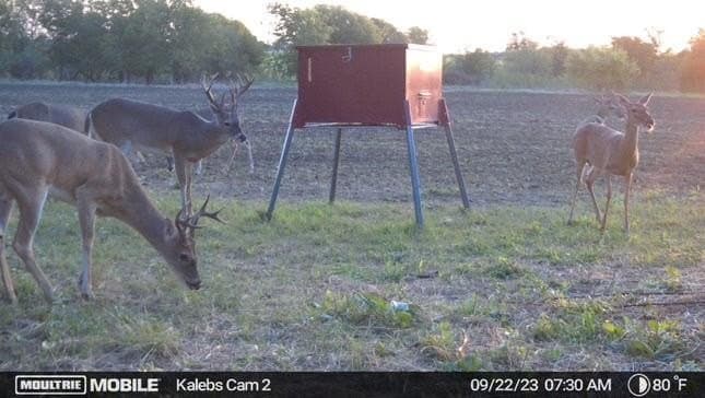 30 acres in McLennan County - photo 25