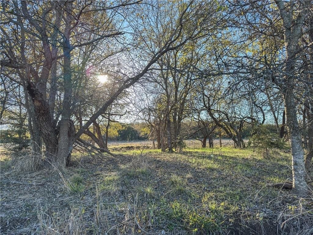 30 acres in McLennan County - photo 13