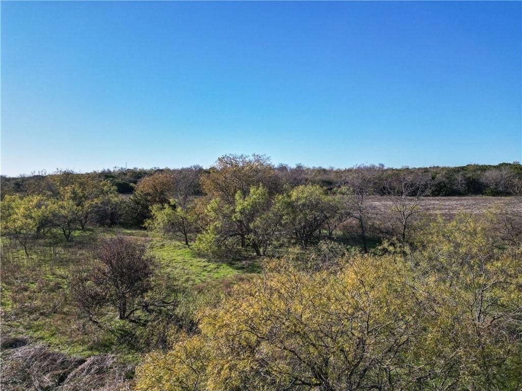 30 acres in McLennan County - photo 10