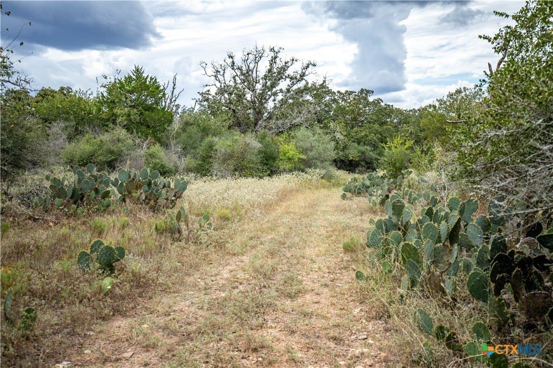 408.33 acres in DeWitt County - photo 15