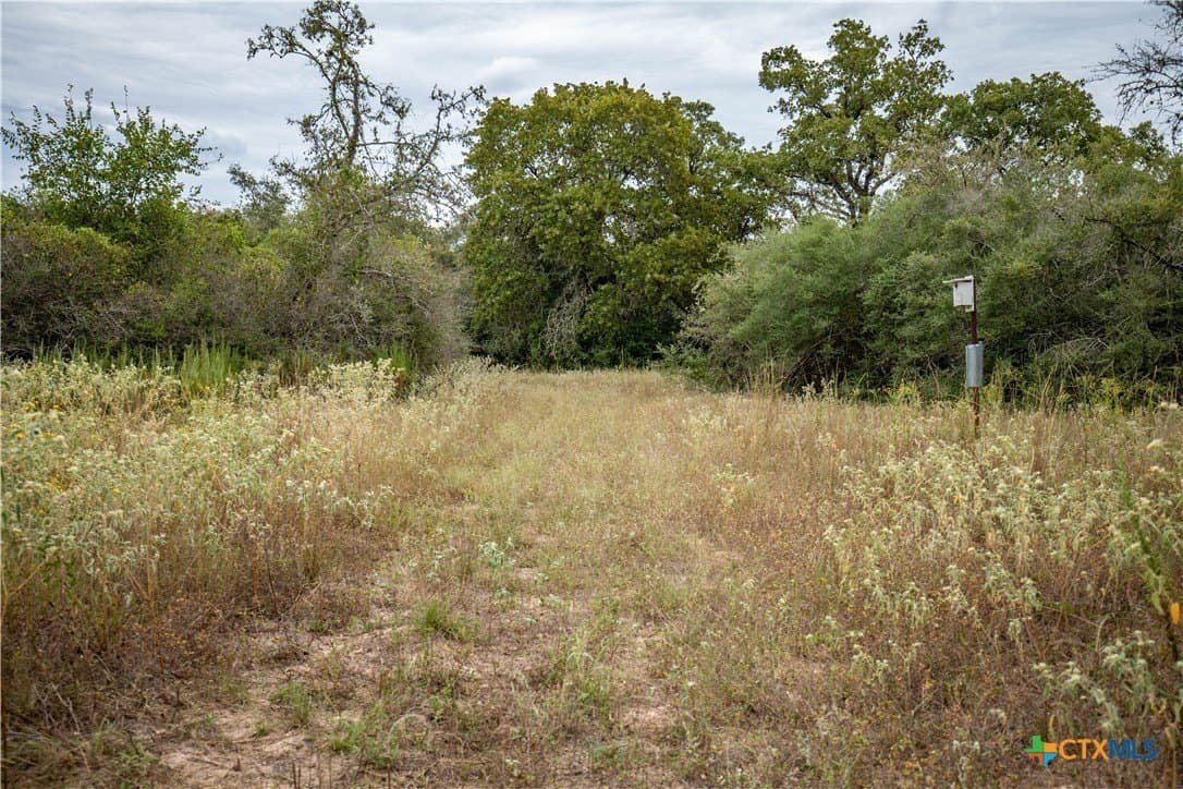 408.33 acres in DeWitt County - photo 27