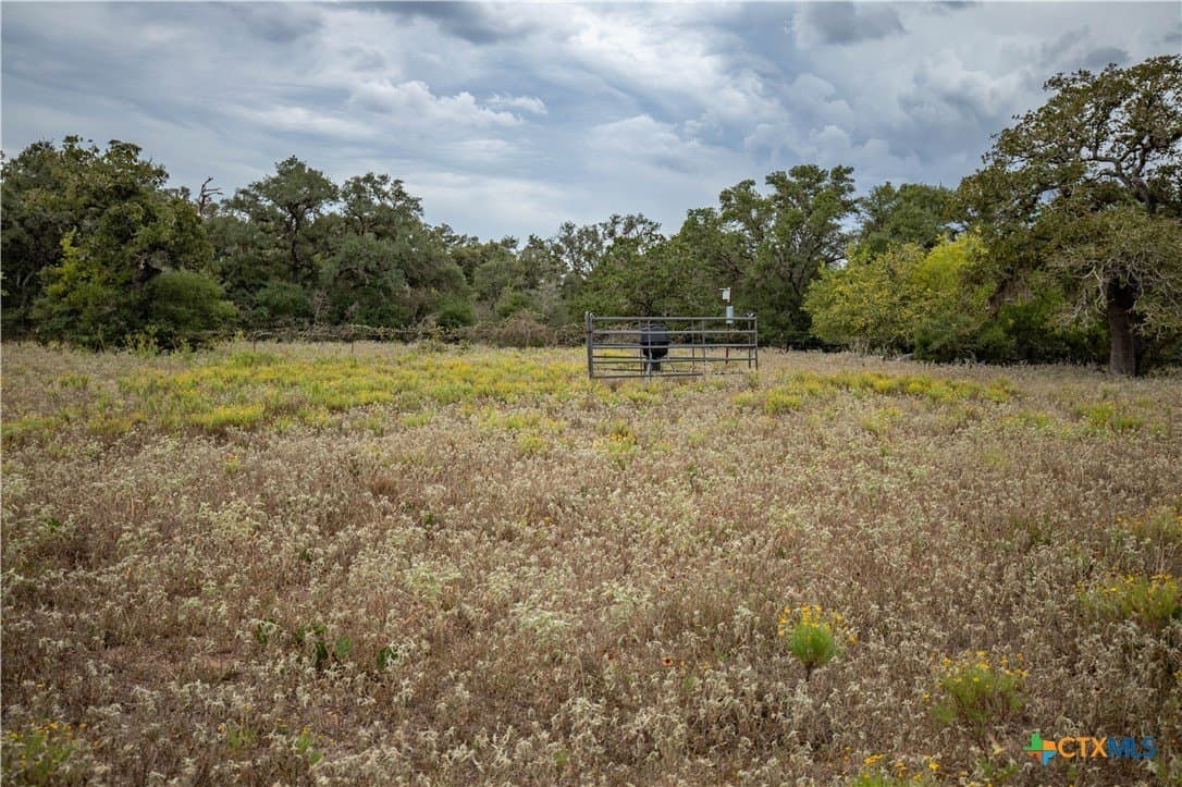 408.33 acres in DeWitt County - photo 18