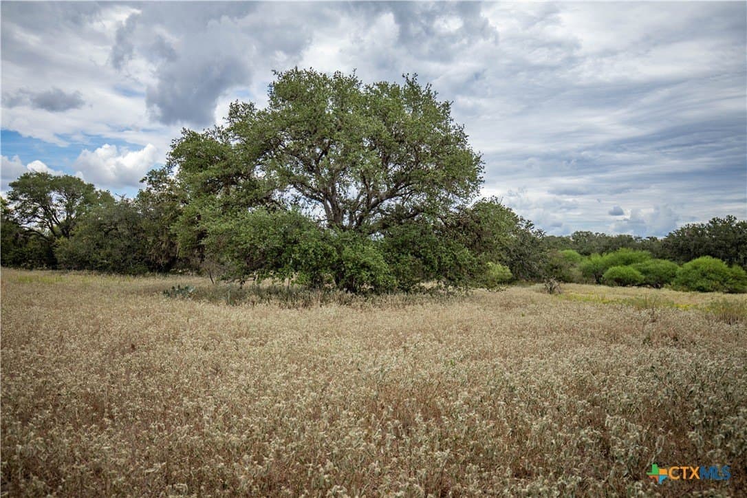 408.33 acres in DeWitt County - photo 28