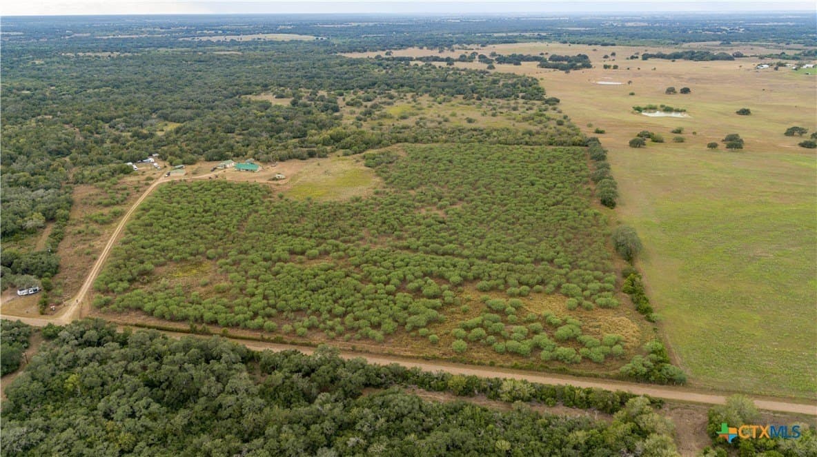 408.33 acres in DeWitt County - photo 5