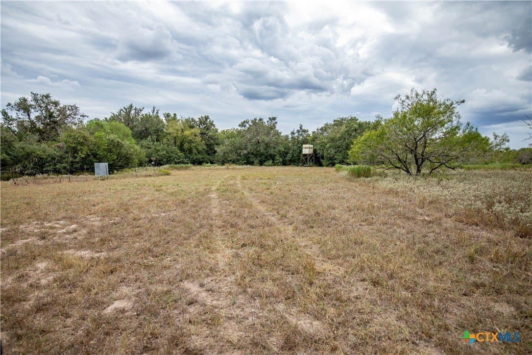 408.33 acres in DeWitt County - photo 17