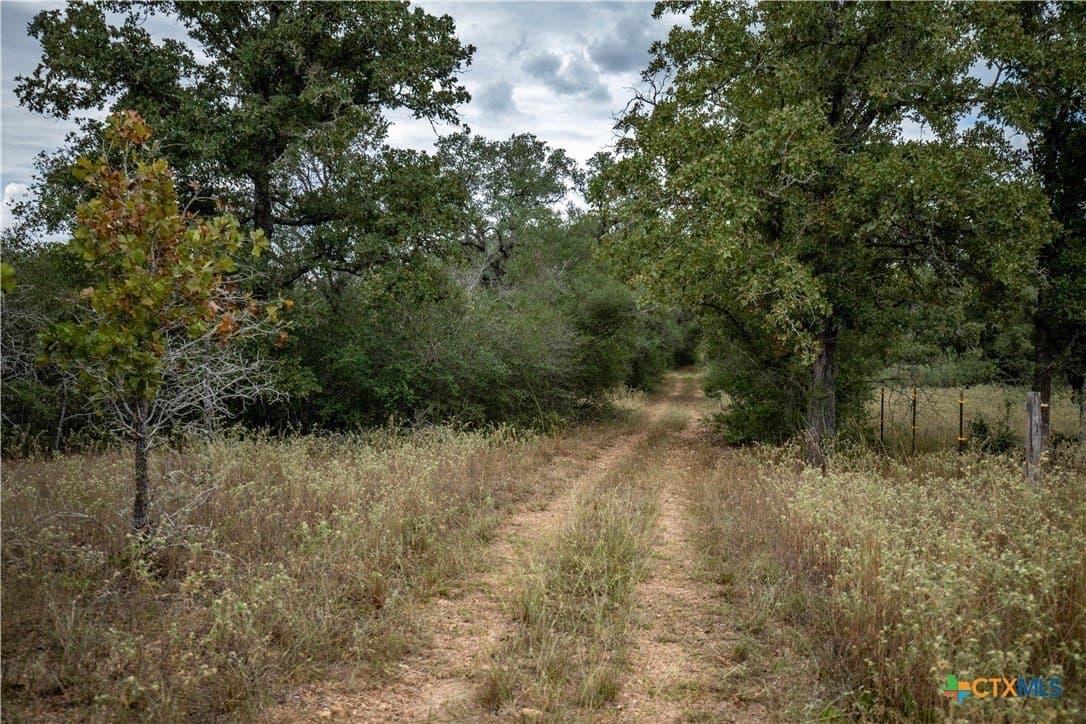 408.33 acres in DeWitt County - photo 24