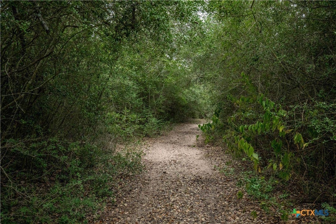 408.33 acres in DeWitt County - photo 16