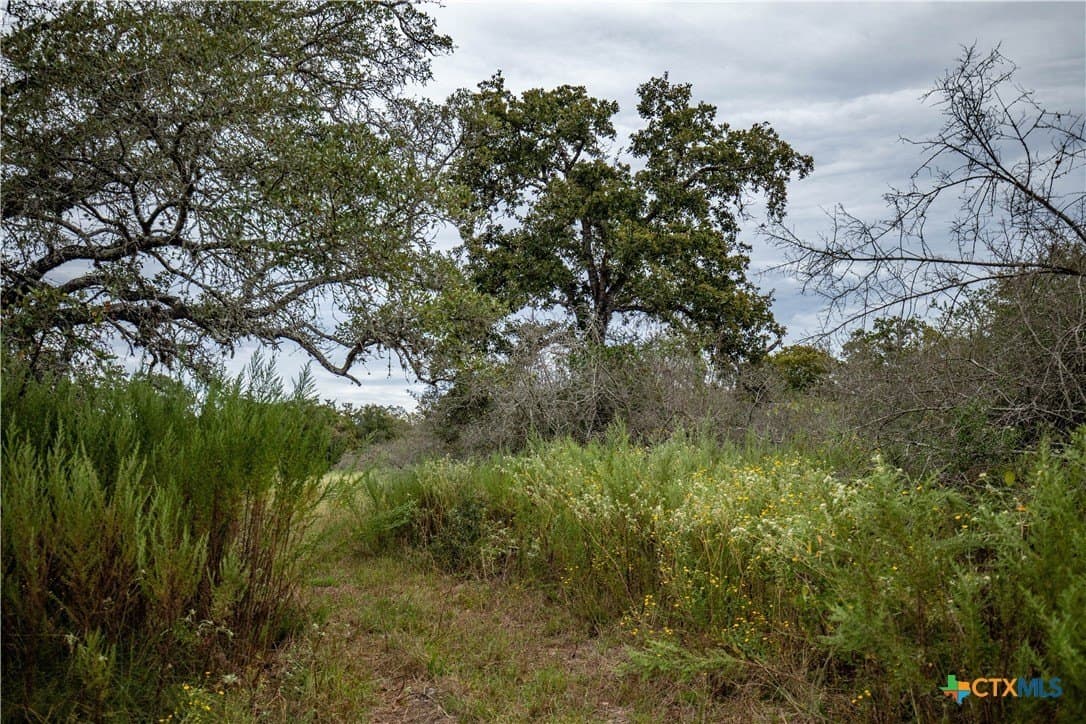 408.33 acres in DeWitt County - photo 11