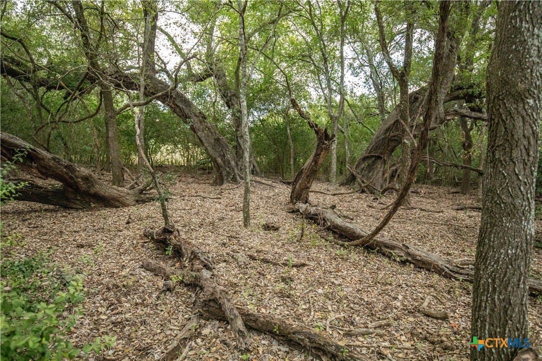 408.33 acres in DeWitt County - photo 9