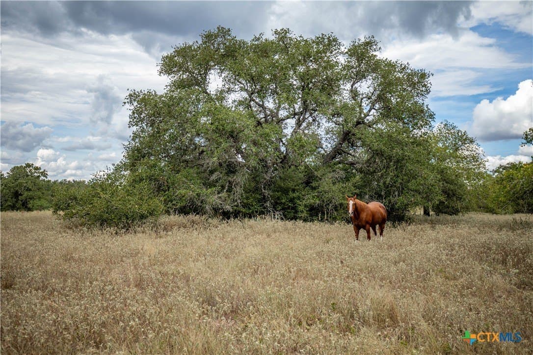 408.33 acres in DeWitt County - photo 12