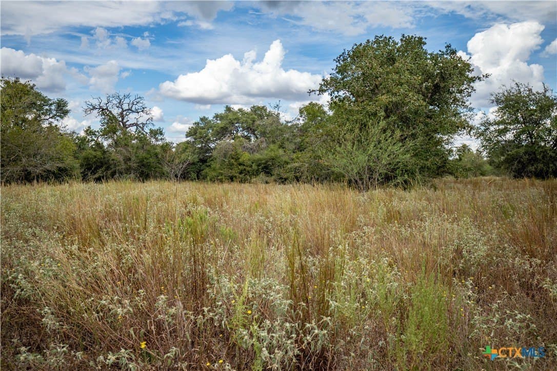 408.33 acres in DeWitt County - photo 30