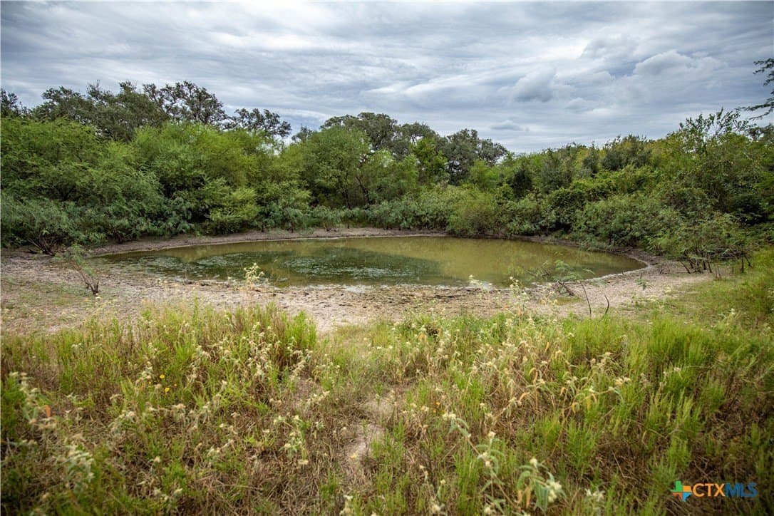 408.33 acres in DeWitt County - photo 10
