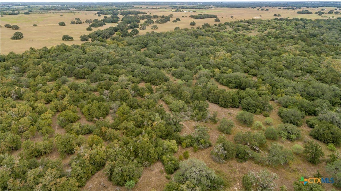 408.33 acres in DeWitt County - photo 3