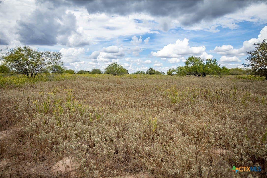 408.33 acres in DeWitt County - photo 31