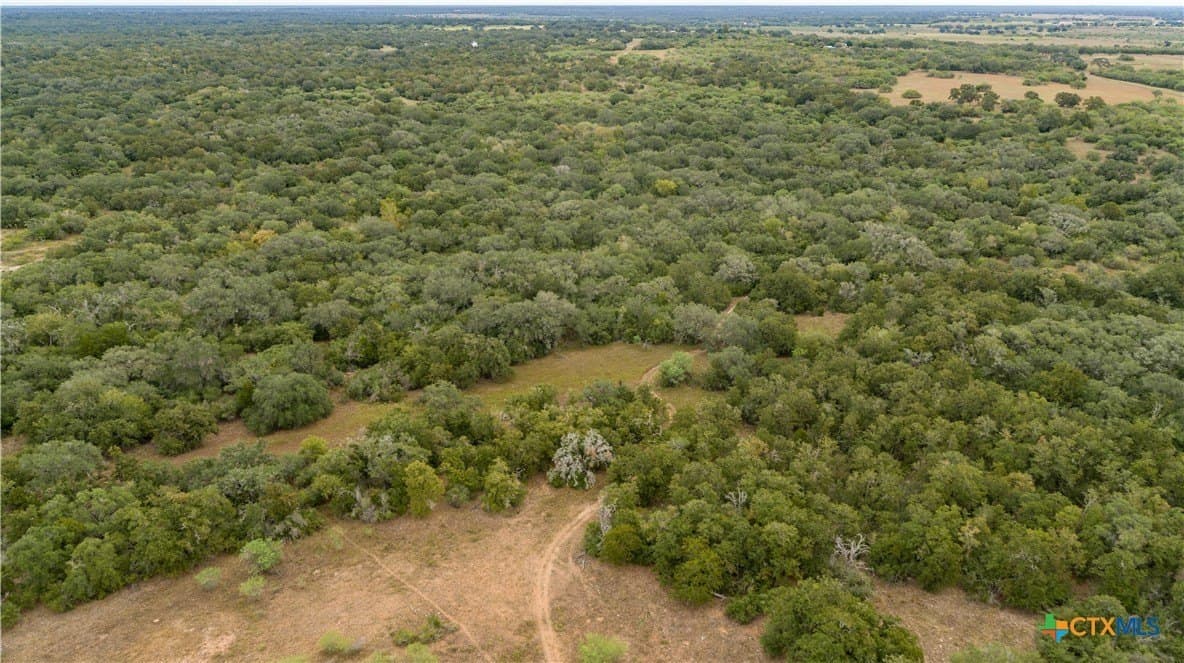 408.33 acres in DeWitt County - photo 8